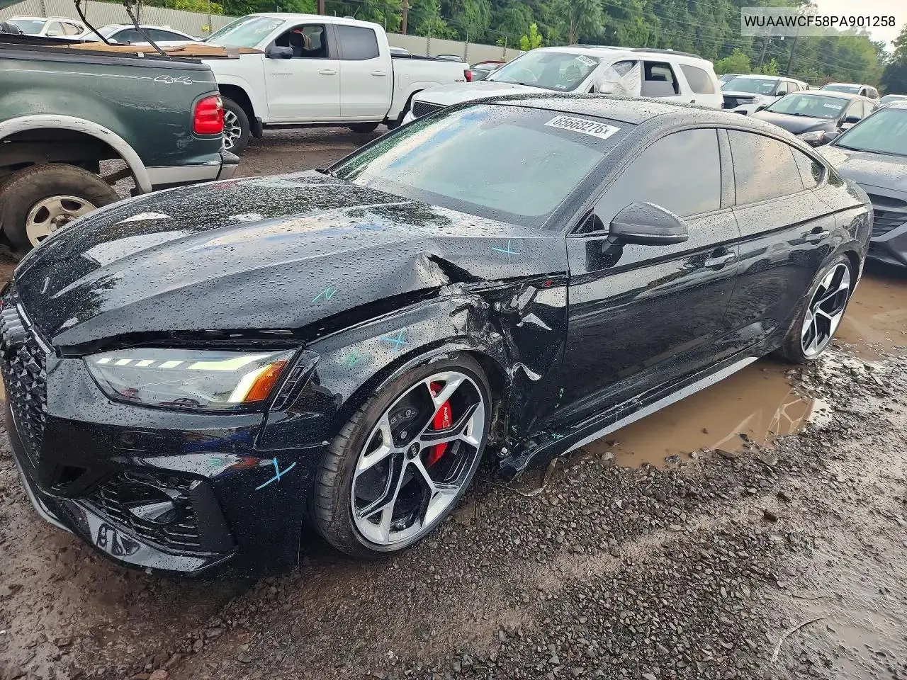 2023 Audi RS5